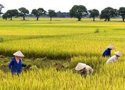 Những đổi mới của nông nghiệp Hưng Yên sau 15 năm tái lập tỉnh